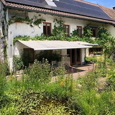 Ferienhaus Mit Naturgarten Dachsen Exterior photo