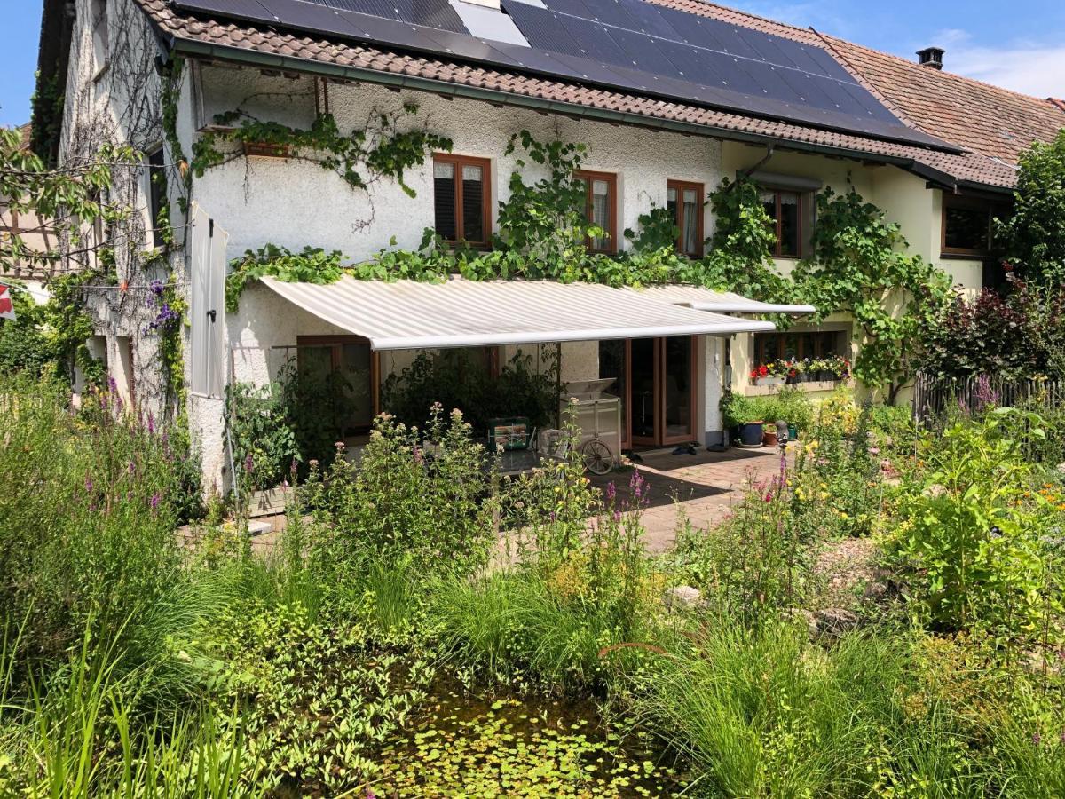 Ferienhaus Mit Naturgarten Dachsen Exterior photo